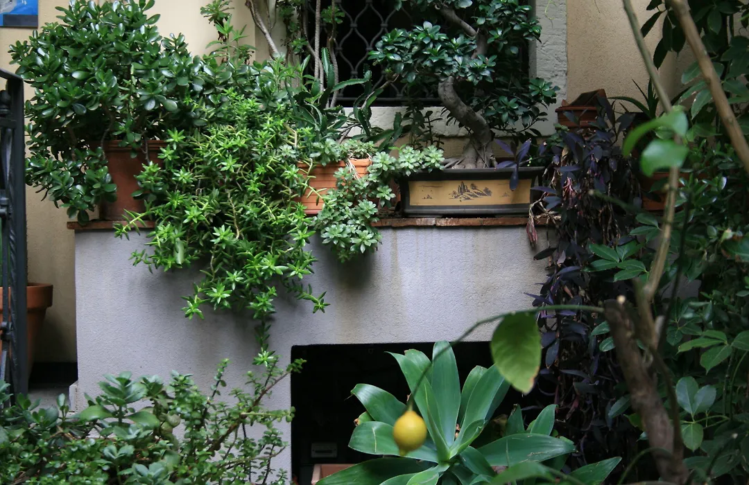 Casa Barbero Charme & Rooms-1